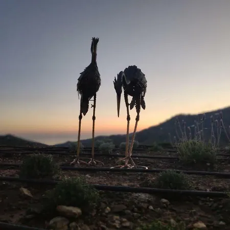 Βίλα Finca El Frontin Cómpeta